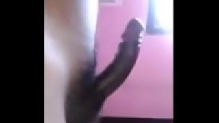 Bhabi sucking husbands huge cock at home